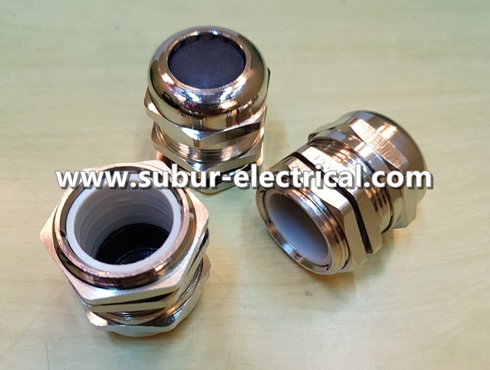 Brass Cable Gland PG 21